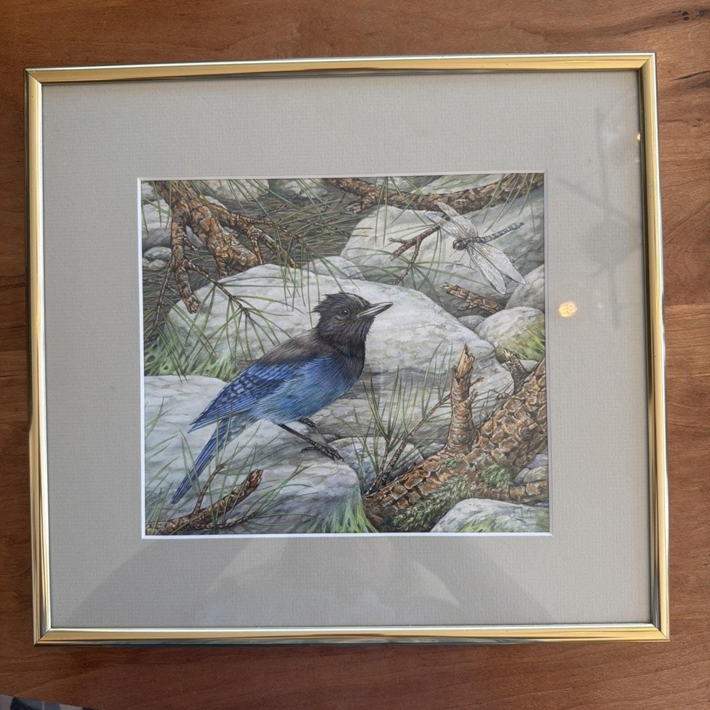 Jane Maday Original Signed Watercolor Steller's Jay Poudre Canyon Framed 8x8‎